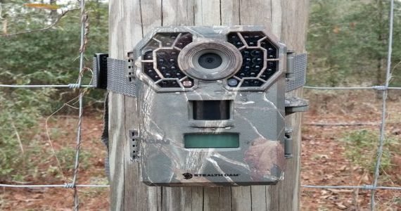 Best Trail Camera