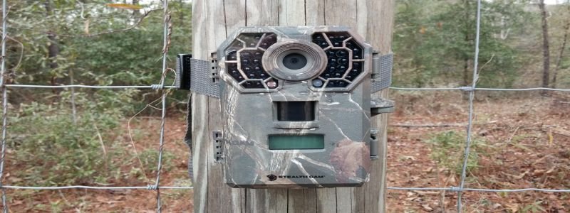 Best Trail Camera